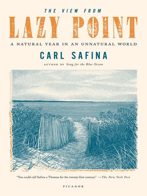 cover image of The View from Lazy Point
